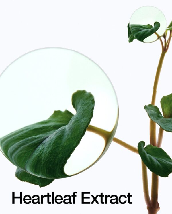 Heartleaf Pore Control Cleansing Oil – Image 4