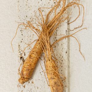 Ginseng Essence Water