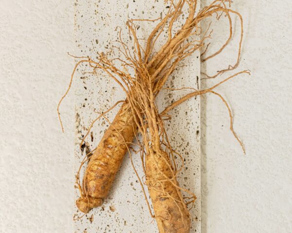 Ginseng Essence Water – Image 6